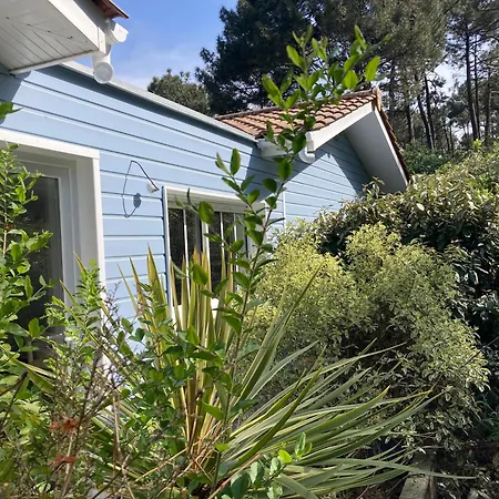 Bed & Breakfast Aux Petits Baganais 3*